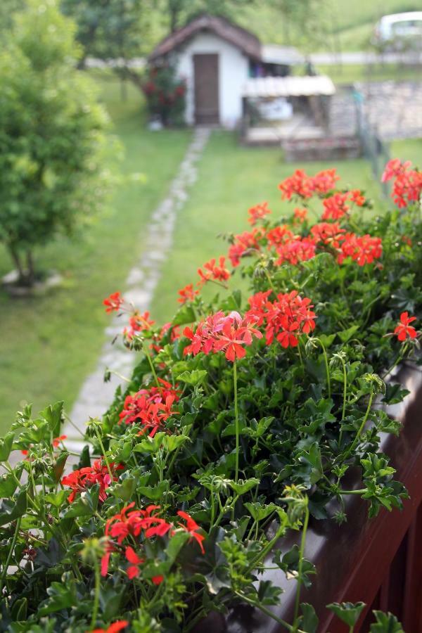 Holiday home Casa Giovannella *